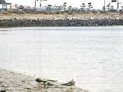 -在海一方公园