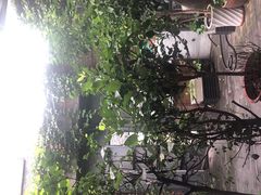 -新疆狼爷烤肉(宋庄店)