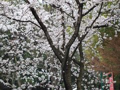 -中国茶叶博物馆(双峰馆区)