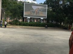 -田心森林公园