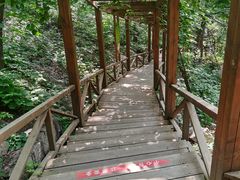 -大岭沟猕猴桃谷风景区