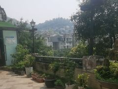 -先机泉水鸡汤(南山老君洞店)