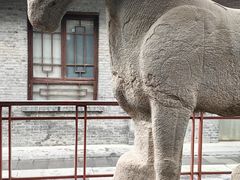 -西安碑林博物馆