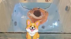 -广州安和泰医学月子会所