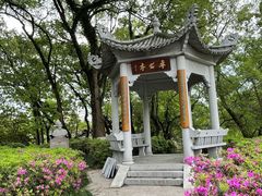 -江心屿景区