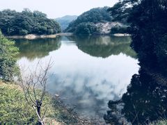 -广州市石门国家森林公园