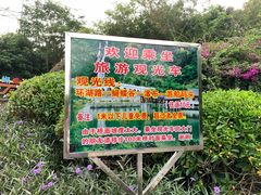 -水濂山森林公园