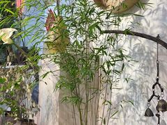 -一品诚记烤肉(大连柏威年购物中心店)