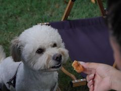 -J Create城市露营咖啡·简餐·宠物(上海动物园店)