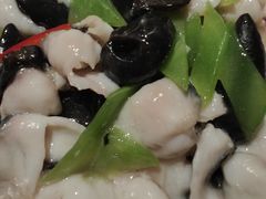 -同乐馆(阳光店)