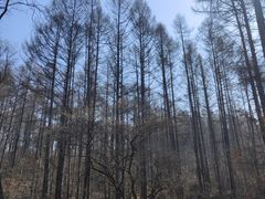 -萨尔浒风景区