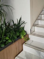 -锦尚名仕Hair Salon