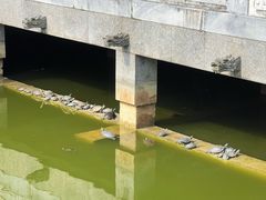 -太平禅寺