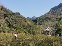 -广州市石门国家森林公园