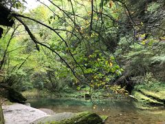 -黎坪国家森林公园