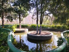 -太阳宫公园