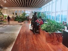 -Seesaw Coffee(朝阳大悦城店)