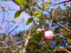 -金鸡湖游船(月光码头)