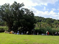 -牛岗山公园