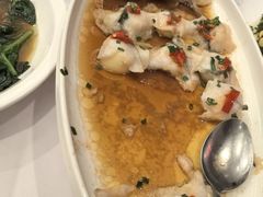 -骏莱海鲜鱼港(五角场店)
