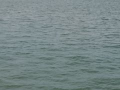 -演武大桥观景平台