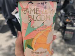 -鲜芋仙(群光广场店)