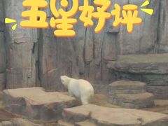 -西安曲江海洋极地公园