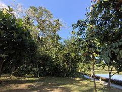 -海南热带野生动植物园