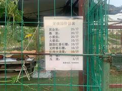 -南沙蒲洲花园