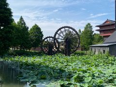 -东台西溪天仙缘景区