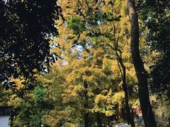 -方岩风景区