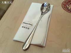勺子和餐巾纸-哈根达斯(国瑞店)