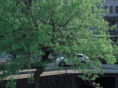 -鹿亭中村