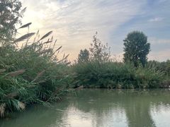 -泗洪洪泽湖湿地景区