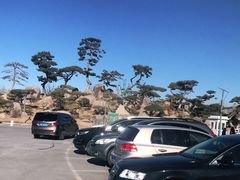 -罗红摄影艺术馆