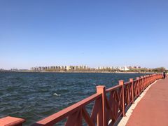 -丁香湖公园