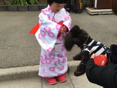 -东京浅草和服体验江户和装工房雅(浅草本店)