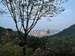 -大金鹰园
