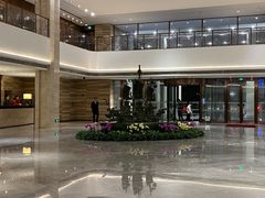 -广州白天鹅宾馆