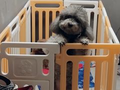 -E+有冰工厂·昆仑寒宫2(五角场店)