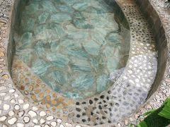 -兴芮温泉度假区