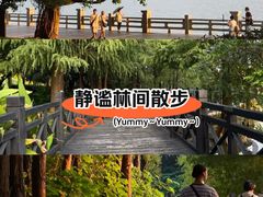 -海珠湖公园