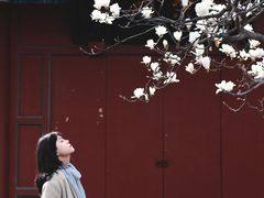 -万寿八仙宫