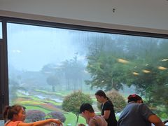 -盆满钵满·国家非遗传承(云台店)