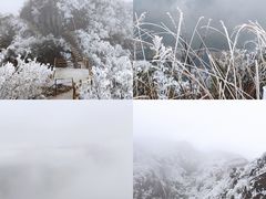 -金子山原生态旅游风景区