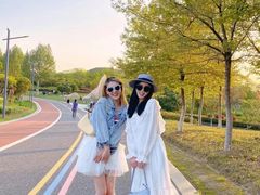 -合肥滨湖国家森林公园