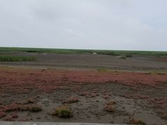 -红海滩国家风景廊道