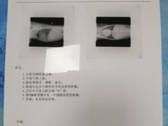 -芭比堂动物医院·犬猫全科·异宠专科(雁塔分院)
