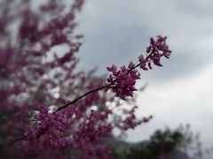 -天台山赤城山景区
