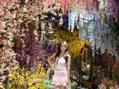 -正佳雨林生态植物园